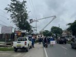 Peduli keselamatan masyarakat, phr pangkas ranting pohon di sekitar jaringan listrik